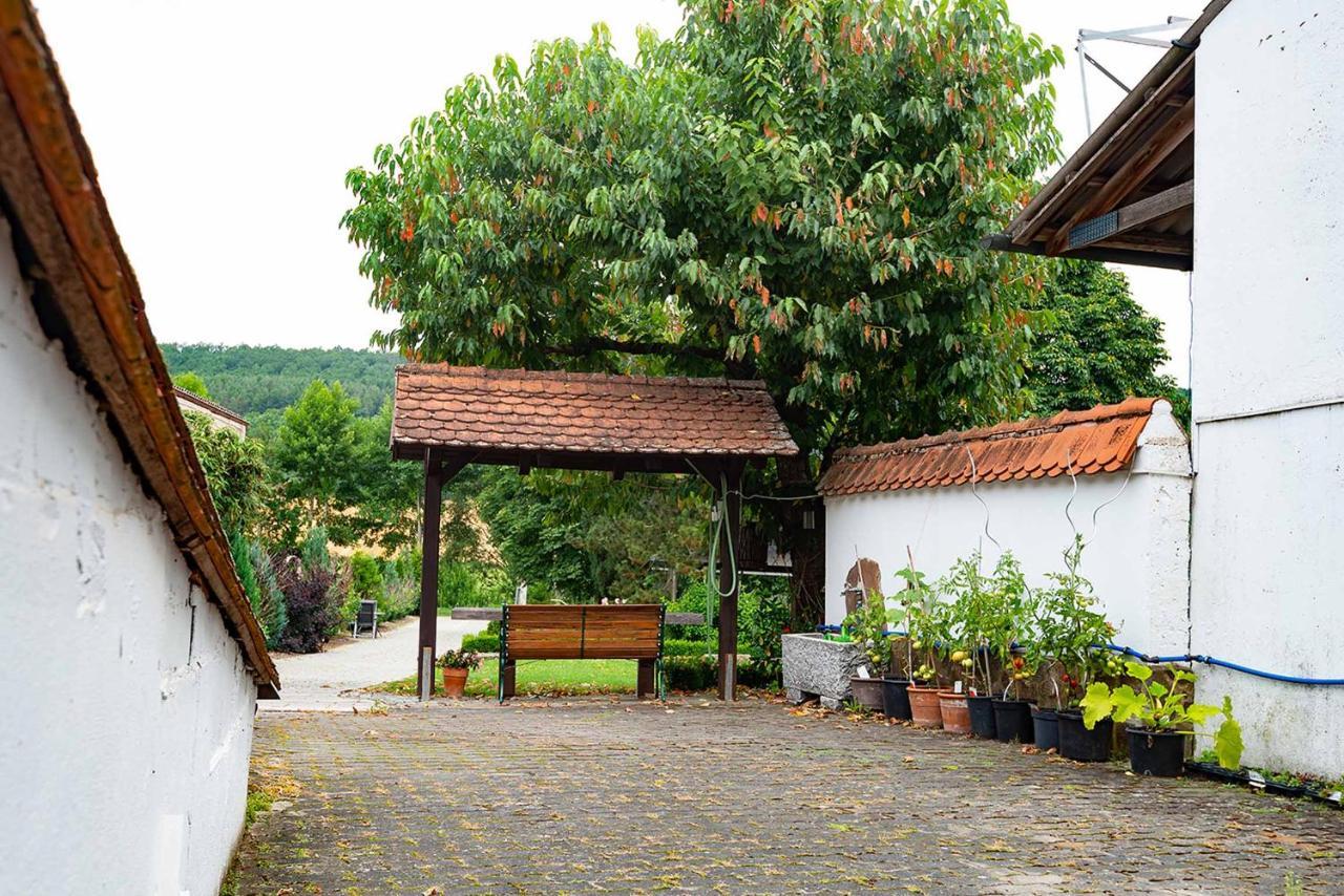 Ferienwohnung Nesselbachtal ノイシュタット・アン・デア・アイシュ エクステリア 写真